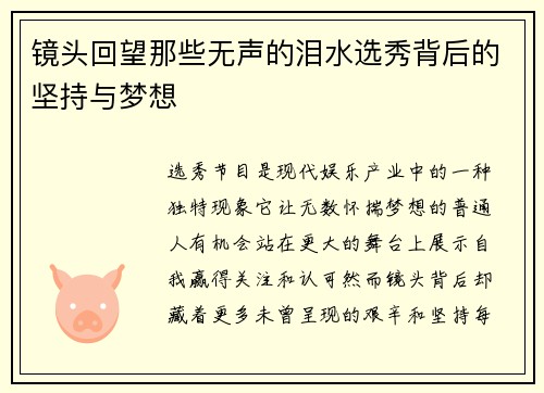 镜头回望那些无声的泪水选秀背后的坚持与梦想 镜头回望那些无声的泪水选秀背后的坚持与梦想